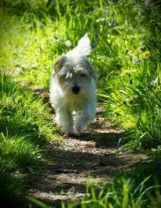 Nairn to Cawdor by the river