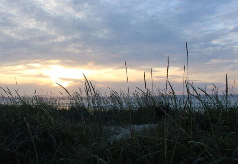 a sunset cloudy sky with a dune and grass in the foreground